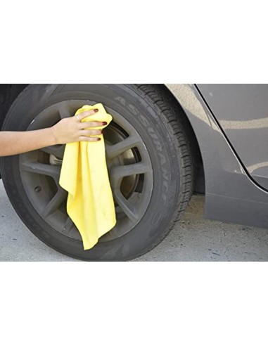 Bissell 1558N Limpiador a Mano para Manc