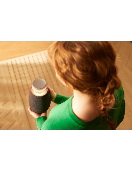 Altavoz Bluetooth LG XBOOM, inalámbrico con sonido de 360°, DXO2TBE