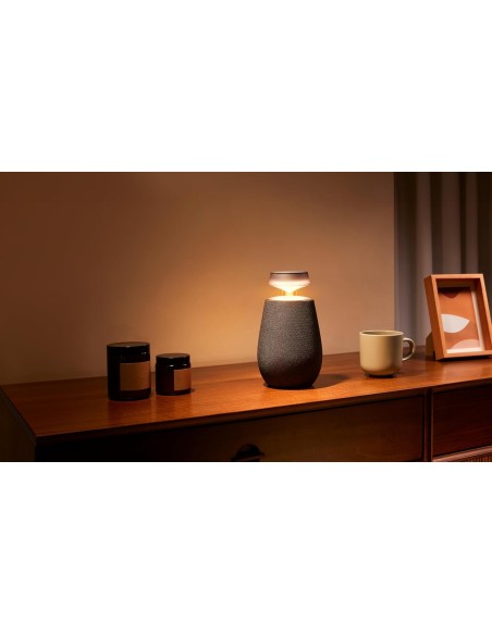 Altavoz Bluetooth LG XBOOM, inalámbrico con sonido de 360°, DXO2TBE