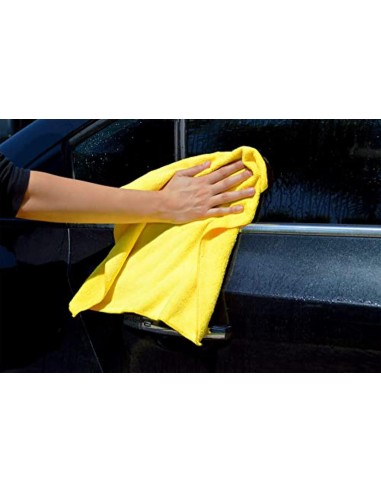 Bissell 1558N Limpiador a Mano para Manc