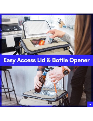 Titan by Arctic Zone Deep Freeze 60 (50+10) - Frigorifero pieghevole con ruote e carrello fuoristrada, grigio squalo