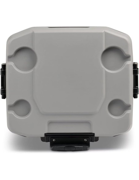 IGLOO MaxCold - Refrigeratore per ghiaccio da 58 litri con ruote