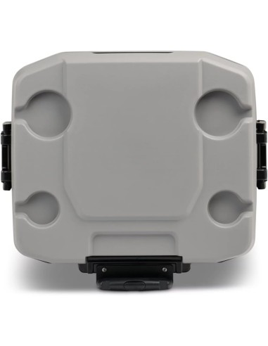 IGLOO MaxCold - Refrigeratore per ghiaccio da 58 litri con ruote